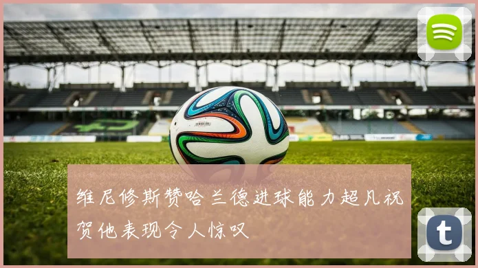 维尼修斯赞哈兰德进球能力超凡祝贺他表现令人惊叹