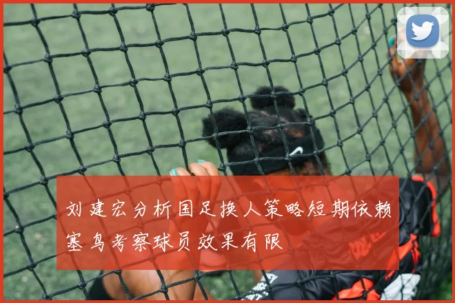 刘建宏分析国足换人策略短期依赖塞鸟考察球员效果有限
